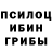Псилоцибиновые грибы Magic Shrooms Alya Vysokaya