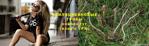 а пвп мука Балахна