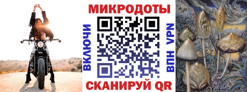 Псилоцибиновые грибы Magic Shrooms  продажа наркотиков  Ржев 
