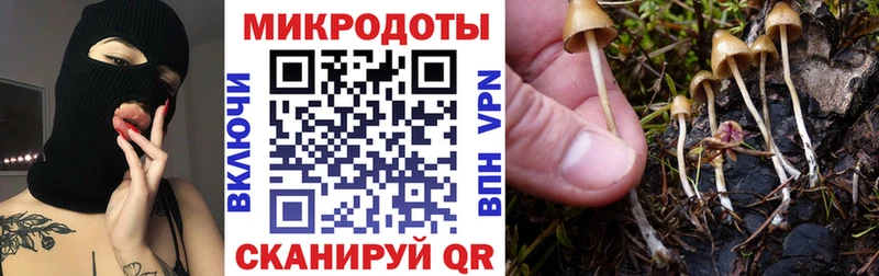 Псилоцибиновые грибы мухоморы Ржев